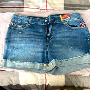 Boyfriend Shorts, never worn